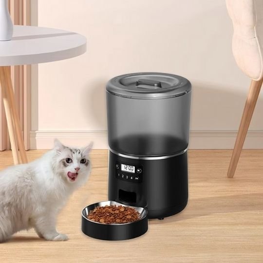 chat gris mange distributeur automatique croquettes chat