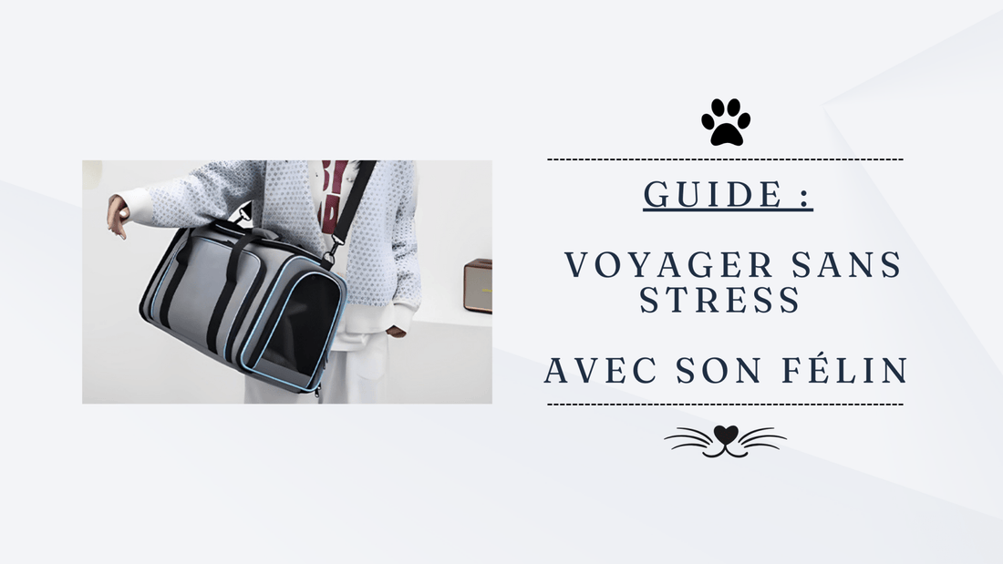 Sac de transport pour chat : Guide complet pour le confort de votre félin - Mon petit matou