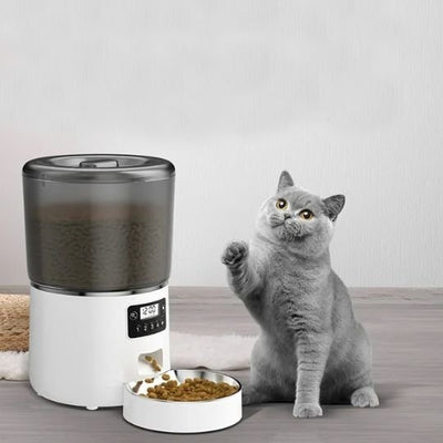 chat heureux avec distributeur automatique croquettes chat
