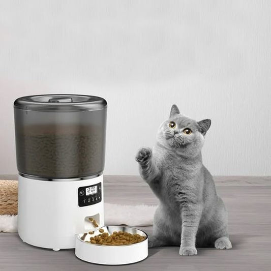chat heureux avec distributeur automatique croquettes chat