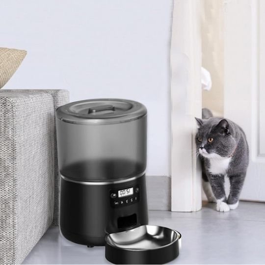 distributeur automatique croquettes chat noir esthetique